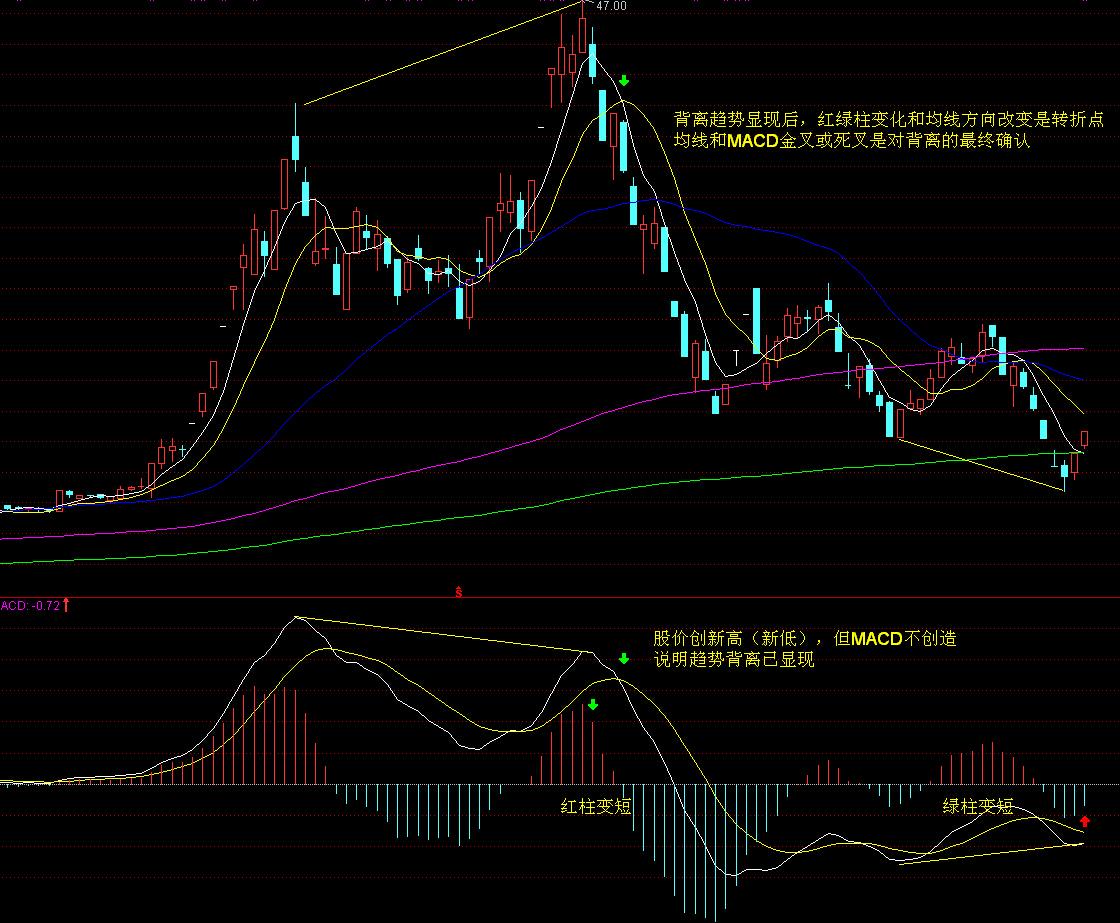 广东“艺术晚课堂”秋季班9月开课
